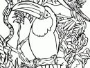 118 Dessins De Coloriage Oiseau À Imprimer concernant Coloriage Animaux De La Mer A Imprimer