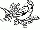 119 Dessins De Coloriage Oiseau À Imprimer Sur Laguerche intérieur Coloriage Oiseaux A Imprimer