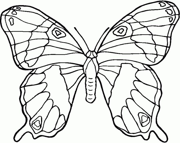 119 Dessins De Coloriage Papillon À Imprimer serapportantà Coloriage De Papillon A Imprimer Gratuit