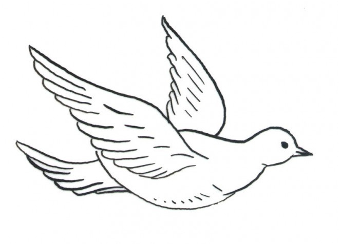 12 Le Meilleur Coloriage Colombe Photos | Coloriage intérieur Coloriage Colombe À Imprimer 12 Le Meilleur Coloriage Colombe Photos | Coloriage intérieur Coloriage Colombe À Imprimer