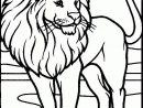 124 Dessins De Coloriage Lion À Imprimer tout Lion A Colorier