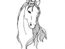 15 Best Dessin Tete De Cheval Images On Pinterest | Horse pour Dessin A Imprimer Licorne
