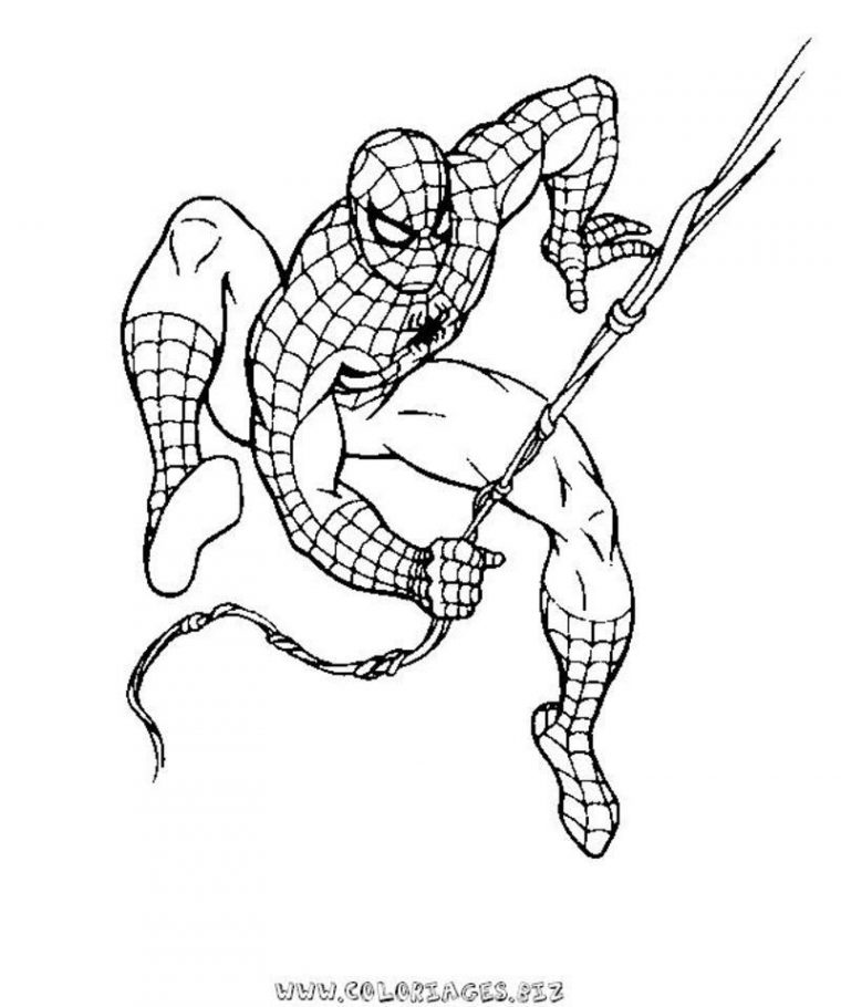 167 Dessins De Coloriage Spiderman À Imprimer Sur dedans Coloriage De Spiderman Noir