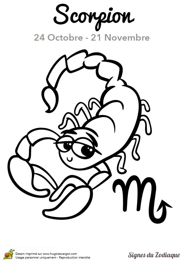 194 Best Dessins Pour Apprendre Images On Pinterest intérieur Coloriage Scorpion