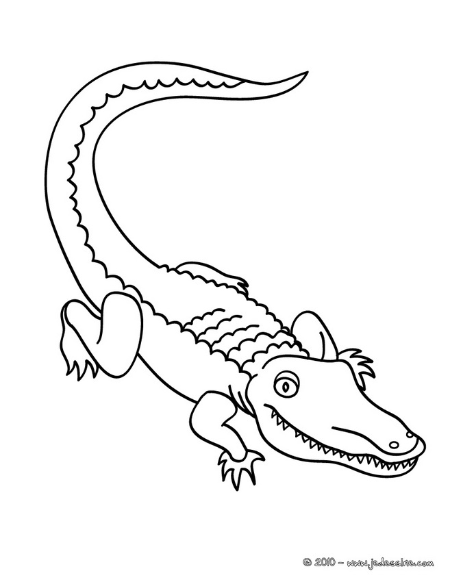 20 Dessins De Coloriage Crocodile Gratuit À Imprimer destiné Coloriage Crocodile A Imprimer Gratuit