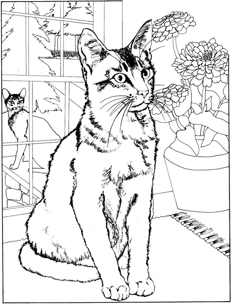 260 Dessins De Coloriage Chat À Imprimer Sur Laguerche encequiconcerne Image De Chat A Imprimer