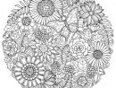 3 Zentangle Round Mandala Coloring Pages tout 100 Greatest Mandala Coloring Book: