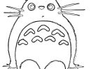 34 Best Coloring Pages Images On Pinterest | Coloring avec Coloriage Totoro A Imprimer