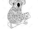371 Best Coloring Bear Images On Pinterest serapportantà Coloriage De Koala