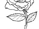 57 Dessins De Coloriage Roses À Imprimer Sur Laguerche tout Dessin De Rose A Imprimer