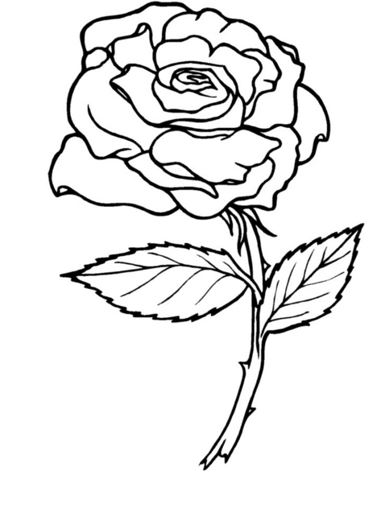 57 Dessins De Coloriage Roses À Imprimer Sur Laguerche tout Dessin De Rose A Imprimer