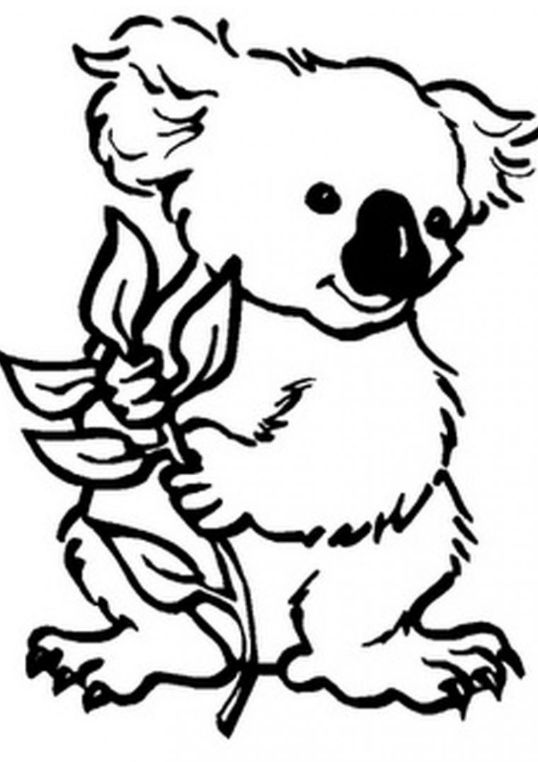 77 Dessins De Coloriage Koala À Imprimer Sur Laguerche destiné Coloriage De Koala