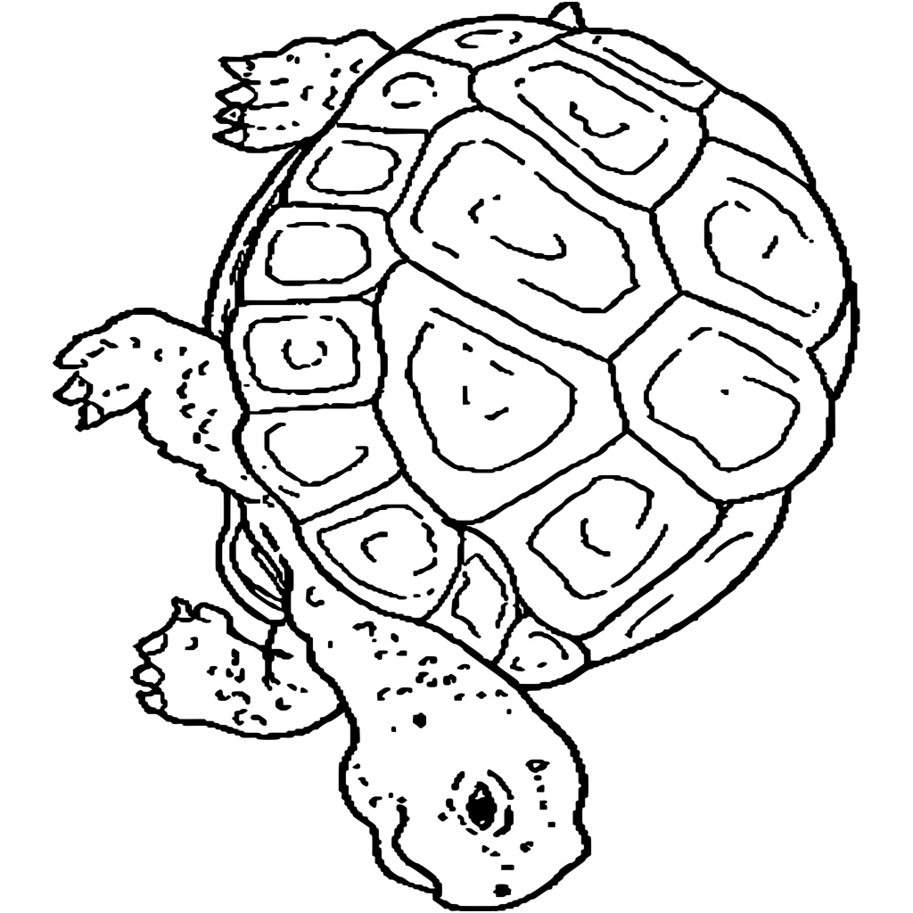 8 Unique Hugo L'Escargot Coloriage Magique Stock - Coloriage concernant Hugo L&amp;#039;Escargot Coloriage