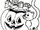 98 Dessins De Coloriage Halloween Hugo L'Escargot À Imprimer destiné Coloriage Hugo L'Escargot