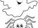 A Colorier, Le Fantôme Et L’araignée D’halloween destiné Dessin Fantome