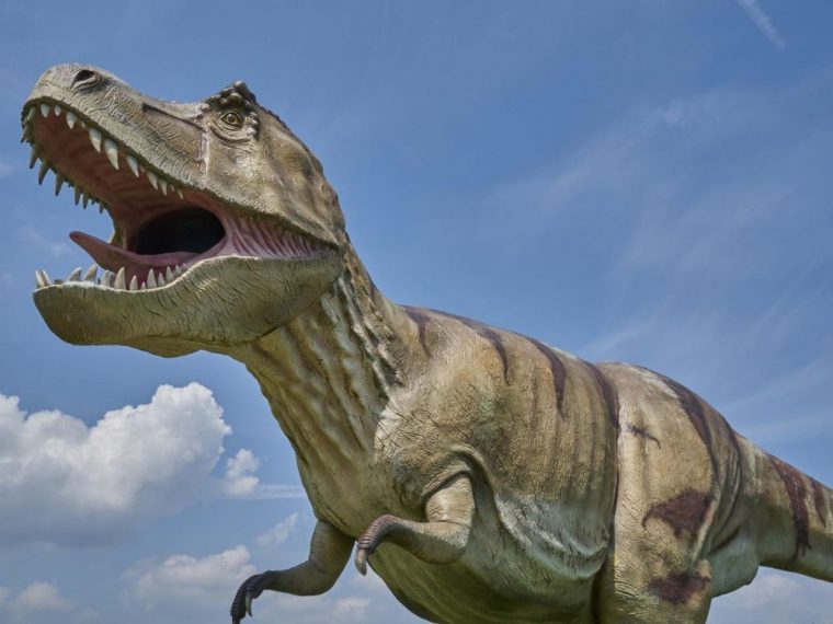 A Quoi Servaient Les Bras Du T. Rex ? – Sciences Et Avenir pour Dinosaure Tyrex