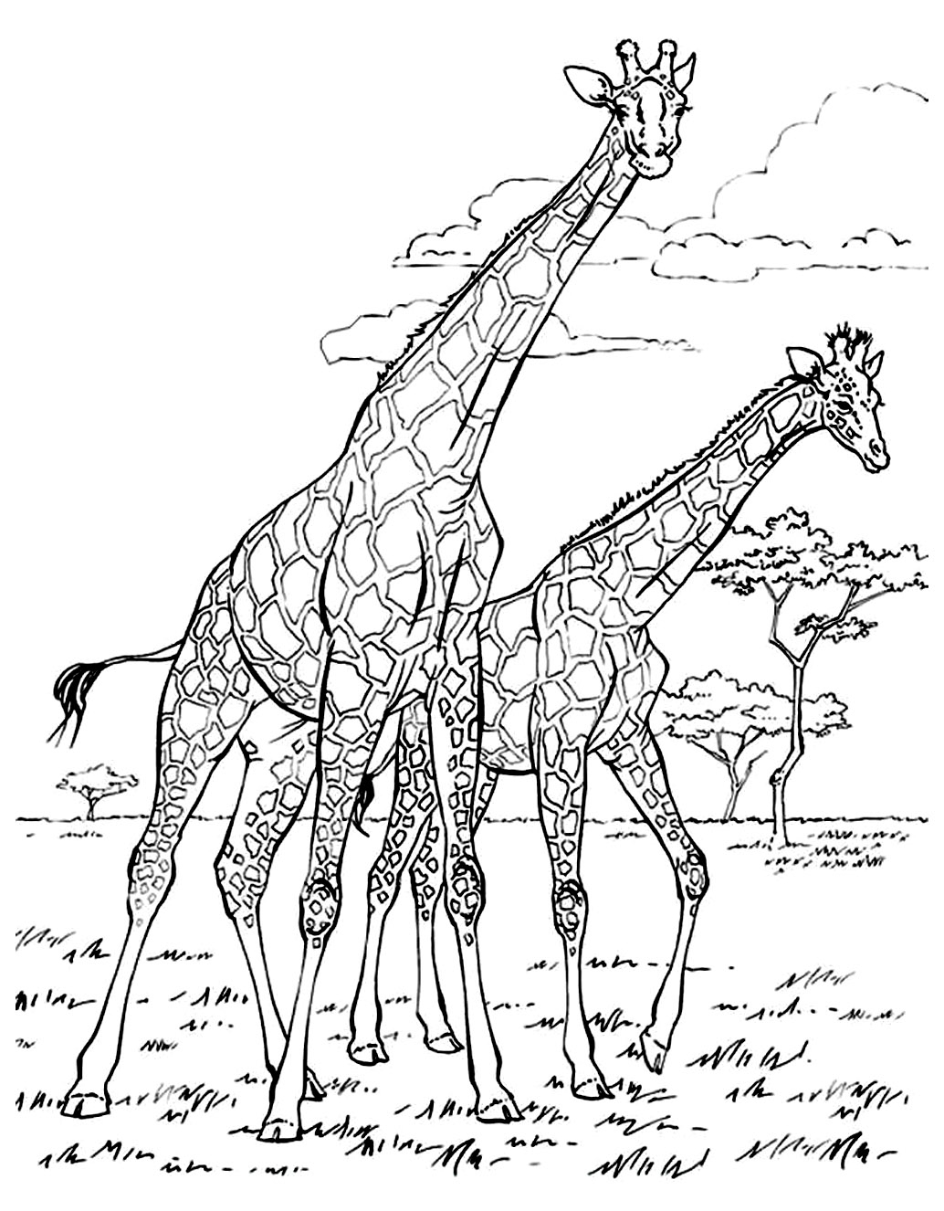 Afrique Girafes - Afrique - Coloriages Difficiles Pour Adultes intérieur Coloriage Animaux Afrique