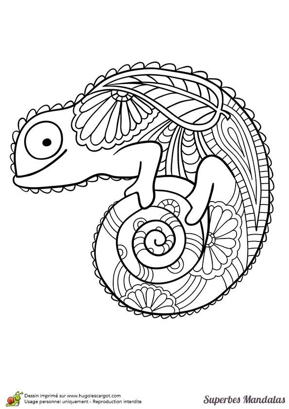 Animal Coloring Pages Image By Glorielsa Mejia On encequiconcerne Colloriage