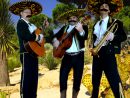 Animation Acoustique Est Un Trio De Musiciens Québéçois destiné Musiciens Mexicains