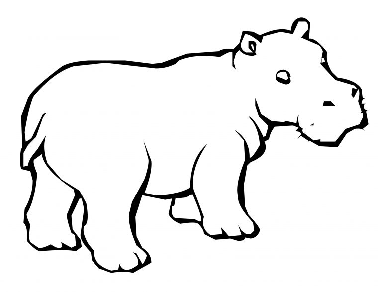 Animaux Afrique – Coloriages dedans Coloriage Animaux Animaux Afrique – Coloriages dedans Coloriage Animaux