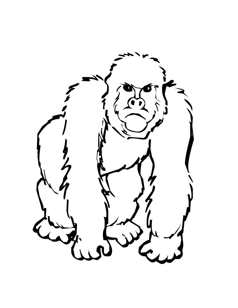 Animaux Afrique – Coloriages intérieur Coloriage Animaux Animaux Afrique – Coloriages intérieur Coloriage Animaux