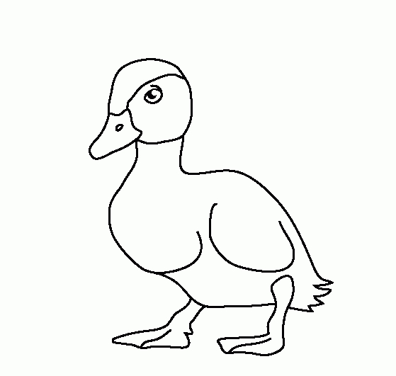 Animaux De La Ferme Coloriage A Imprimer | Liberate concernant Coloriage D Animaux De Vache