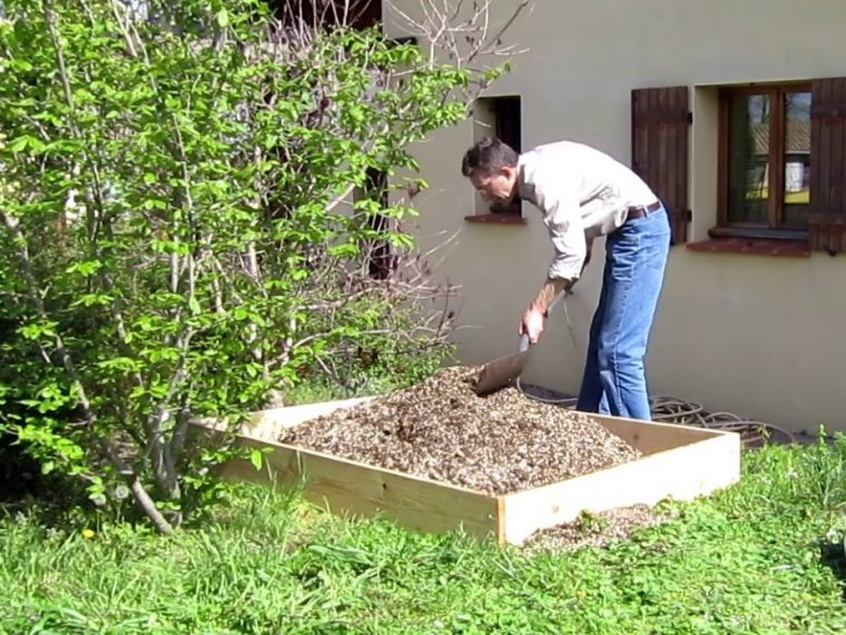 Avec Quelle Terre Remplir Son Potager En Carrés avec Le Petit Vers De Terre Avec Quelle Terre Remplir Son Potager En Carrés avec Le Petit Vers De Terre