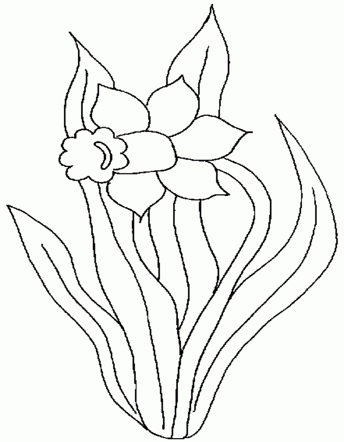 Baobe – Coloriages À Imprimer à Dessin Jonquille Fleur