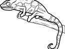 Beautiful Color Lizard Coloring Pages - Download &amp; Print serapportantà Coloriage Lézard