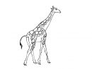Belle Coloriage De Girafe A Imprimer | Haut Coloriage Hd pour Coloriage Girafe A Imprimer Gratuit