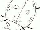 Best Ladybug Outline #21888 - Clipartion avec Coloriage Coccinelle