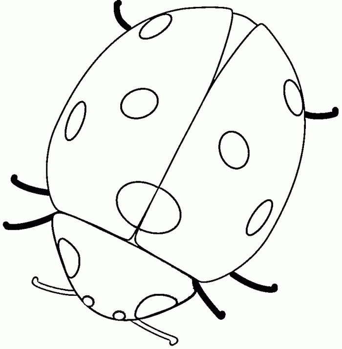 Best Ladybug Outline #21888 - Clipartion avec Coloriage Coccinelle