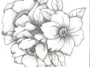 Bouquet De Fleurs Dessin – 3 Design à Coloriage Bouquet De Fleurs A Imprimer