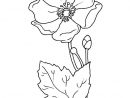 Bouquet De Fleurs Dessin - Recherche Google | Dessin Fleur destiné Dessin De Fleure