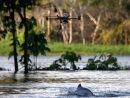 Brésil: Les Drones Au Service De La Préservation Des dedans Dauphin D'Amazonie