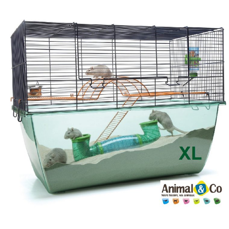 Cage Habitat Pour Petits Rongeurs – Animal & Co tout Photo Cage ? ?Cureuil