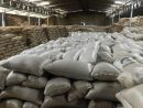 Cameroun : 450 Tonnes De Riz Paddy Exportées De Manière serapportantà Voix Du Paysan