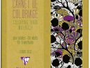 Carnet De Coloriage Art Nouveau Pour Adultes - 20 X 20 Cm serapportantà Carnet Coloriage Adulte