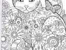 Cat Abstract Doodle Zentangle Coloring Pages Colouring encequiconcerne Coloriage Numéroté Adulte Gratuit