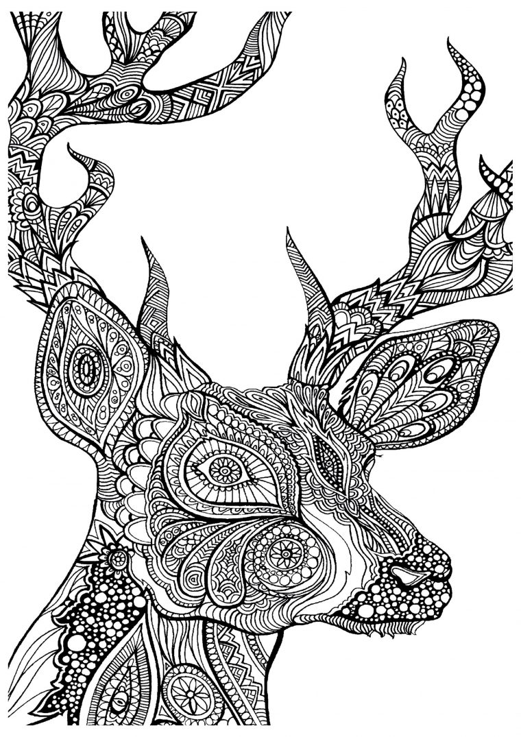 Cerf Zoom – Coloriages Cerfs – Just Color | Coloriage intérieur Coloriage Helicoptere A Imprimer Gratuit