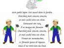 Chanson Mon Petit Lapin | Comptine Animaux à Contine Mon Petit Lapin