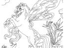 Chevaux-Magiques-Papillon (691×935) | Ausmalbilder concernant Coloriage À Imprimer De Cheval