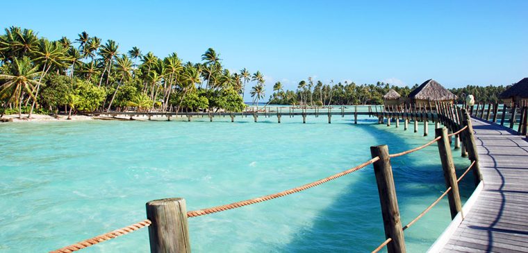 Cinq Destinations Pour Lézarder Sur Une Île Paradisiaque dedans Dessin D Ile Paradisiaque Cinq Destinations Pour Lézarder Sur Une Île Paradisiaque dedans Dessin D Ile Paradisiaque