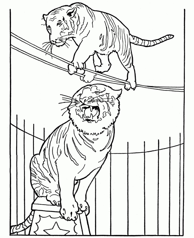 Circus Animals Coloring Pages destiné Dessin Animaux Elephant De Cirque
