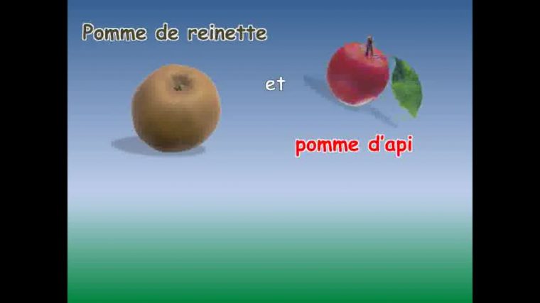 Clip Anny Versini, Pomme De Reinette Feat. Jean Marc pour Pomme D Api Chanson