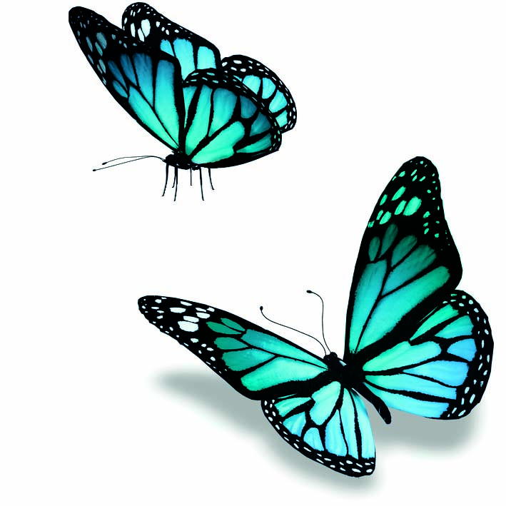 Collection Miss Bien-Etre tout Dessin De Papillon En Couleur