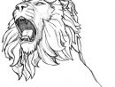Coloriage À Imprimer : Animaux - Animaux Carnivores - Lion dedans Coloriage Lionne