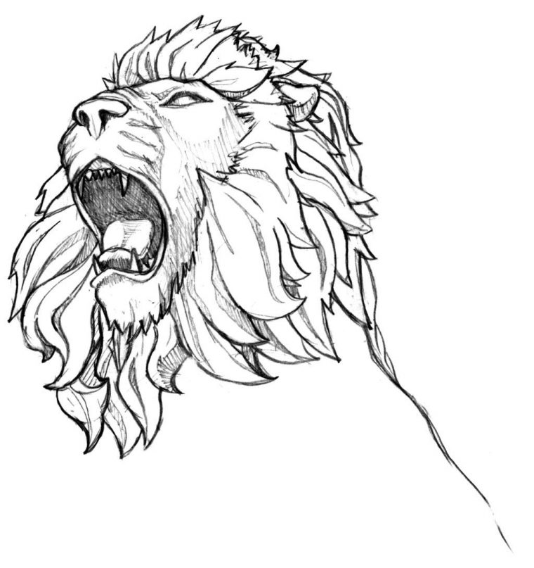 Coloriage À Imprimer : Animaux – Animaux Carnivores – Lion dedans Coloriage Lionne
