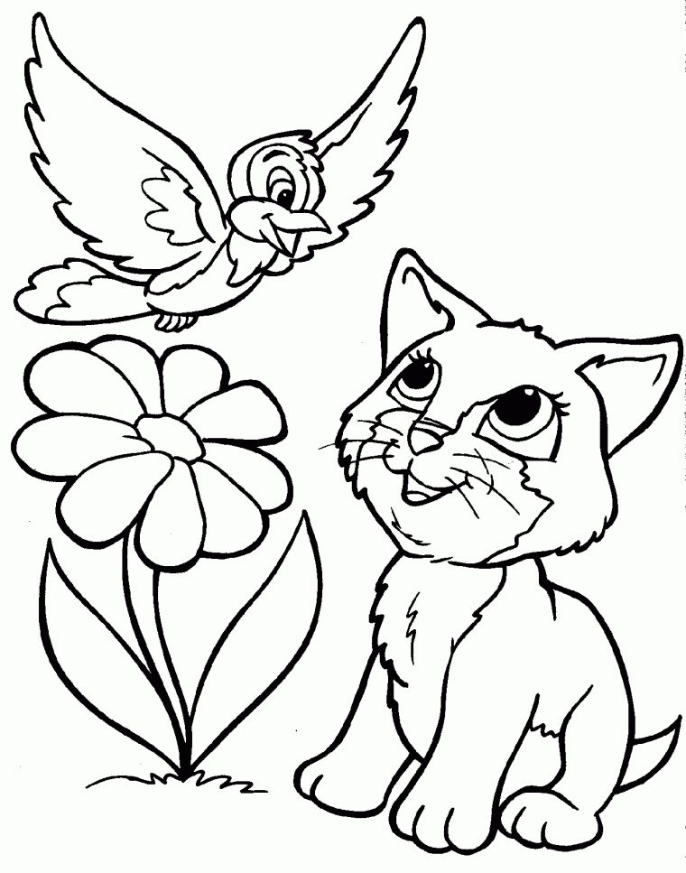 Coloriage A Imprimer De Chats – 1001 Animaux avec Image De Chat A Imprimer