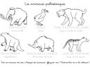 Coloriage À Imprimer : Imagier Des Animaux Préhistoriques avec Image Homme Prehistorique A Imprimer
